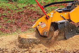 Seasonal Cleanup (Spring/Fall) in Reisterstown, MD